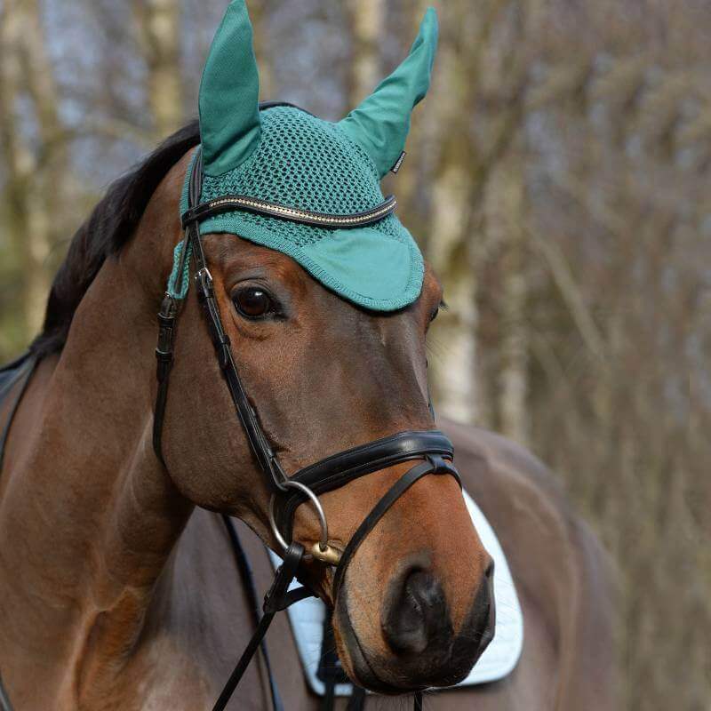 Brown horse wears a Weatherbeeta Prime Ear Bonnet Green and bridle outdoors for noise reduction.