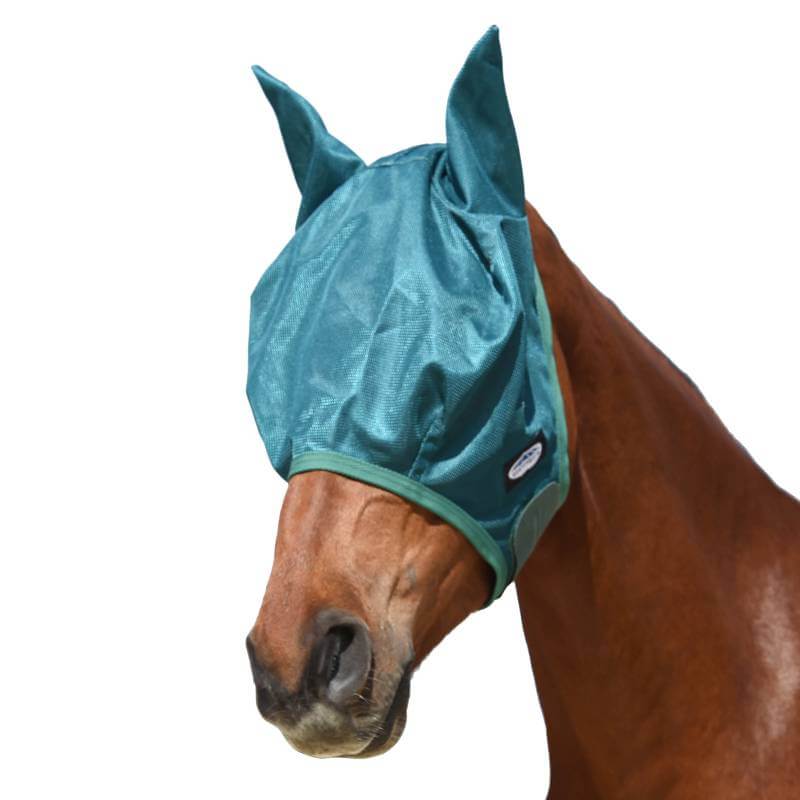 Brown horse wears Weatherbeeta Green-Tec Airflow Mesh Mask in Dragonfly Blue/Bottle Green.