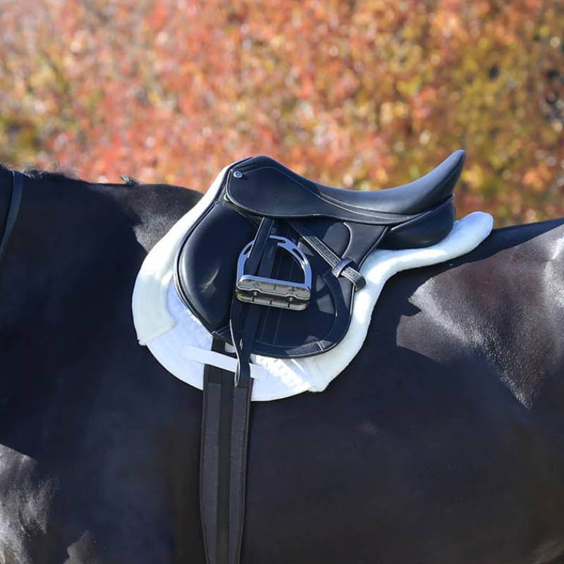 Weatherbeeta Prime Comfy Fleece Numnah in white on a dark horse; autumn trees in background.