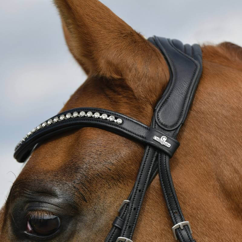 Collegiate Comfitec Opulux Padded Dressage Bridle Black-Pet n Pony-Collegiate