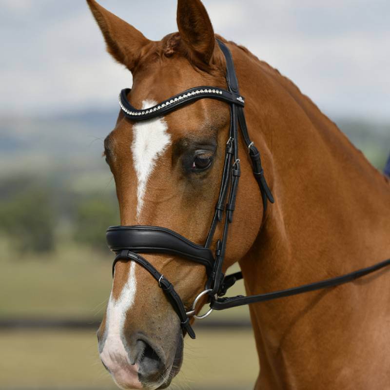 Collegiate Comfitec Opulux Padded Dressage Bridle Black