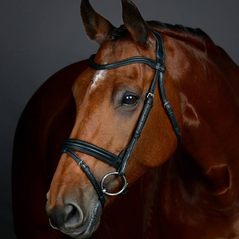 Collegiate Comfitec Opulux Plain Padded Hanoverian Flash Bridle Black-Pet n Pony-Collegiate