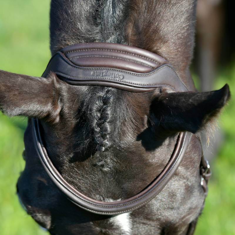Collegiate Comfitec Opulux Plain Padded Hanoverian Flash Bridle Dark Brown-Pet n Pony-Collegiate