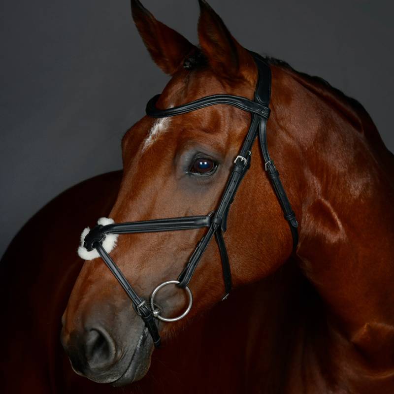 Collegiate Comfitec Opulux Plain Padded Grackle Bridle Black-Pet n Pony-Collegiate