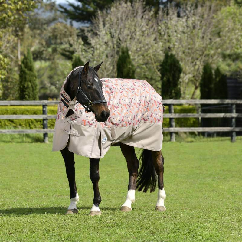 A horse in a Weatherbeeta Dachshund Print blanket stands on grass.