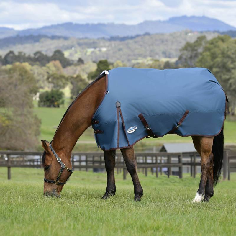 A horse in a Weatherbeeta Comfitec Classic Standard Neck grazes in a grassy field.
