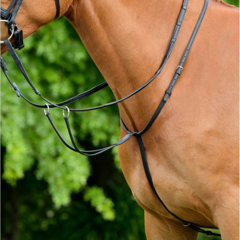 Close-up of a brown horse in black Collegiate Comfitec Opulux Running Martingale, foliage behind.
