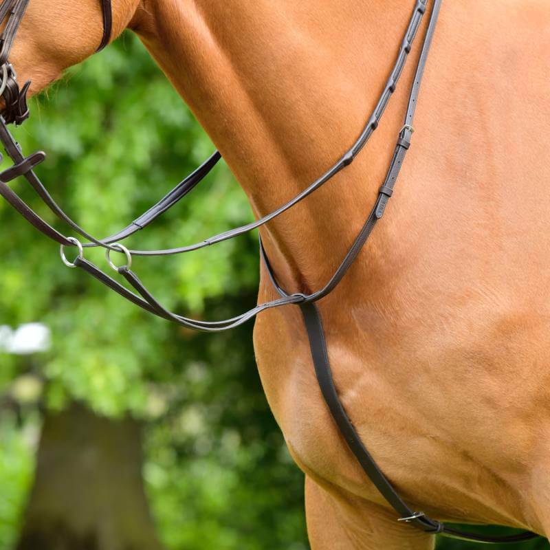 Close-up of a brown horse in the Collegiate Comfitec Opulux martingale, greenery behind.