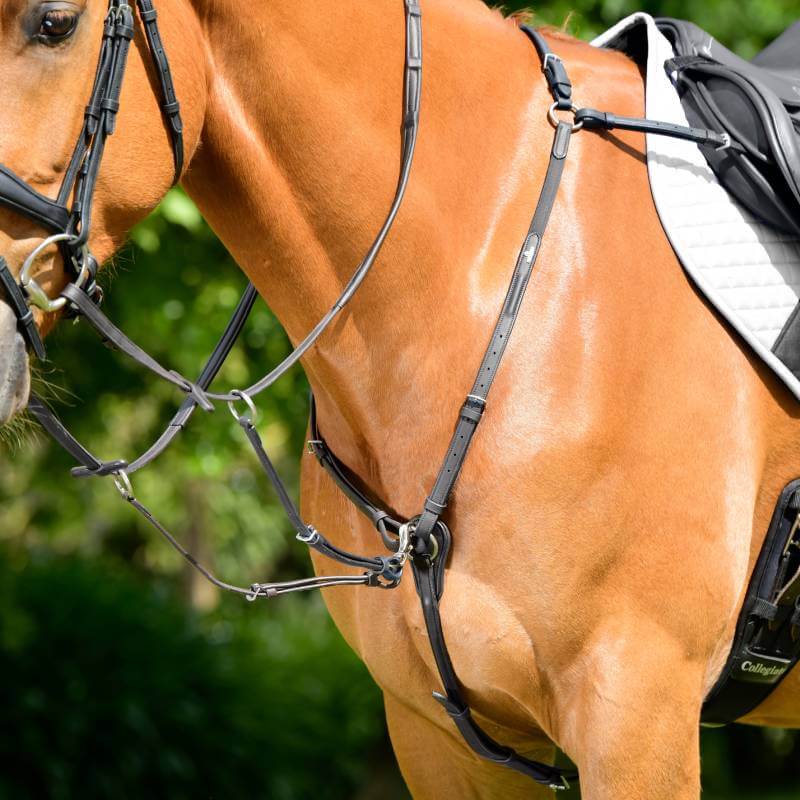 Chestnut horse in sunlight wearing Collegiate Opulux 3-Point Breastplate and white saddle pad.