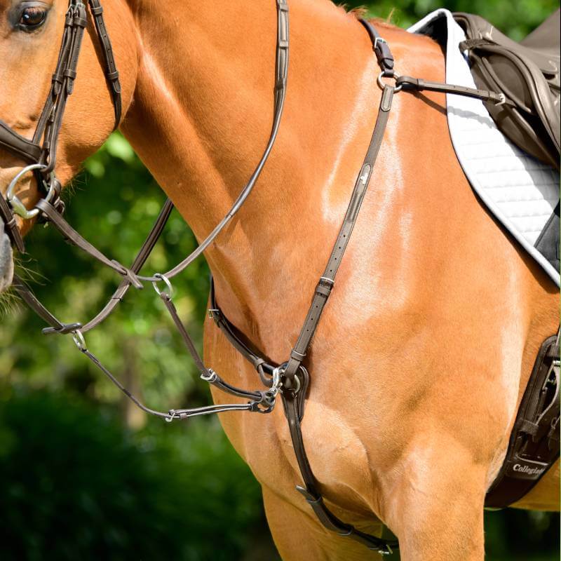 Collegiate Comfitec Opulux 3-Point Padded Raised Breastplate on chestnut horse outdoors.
