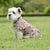 Weatherbeeta Comfitec Essential Dog Coat Dachshund Print