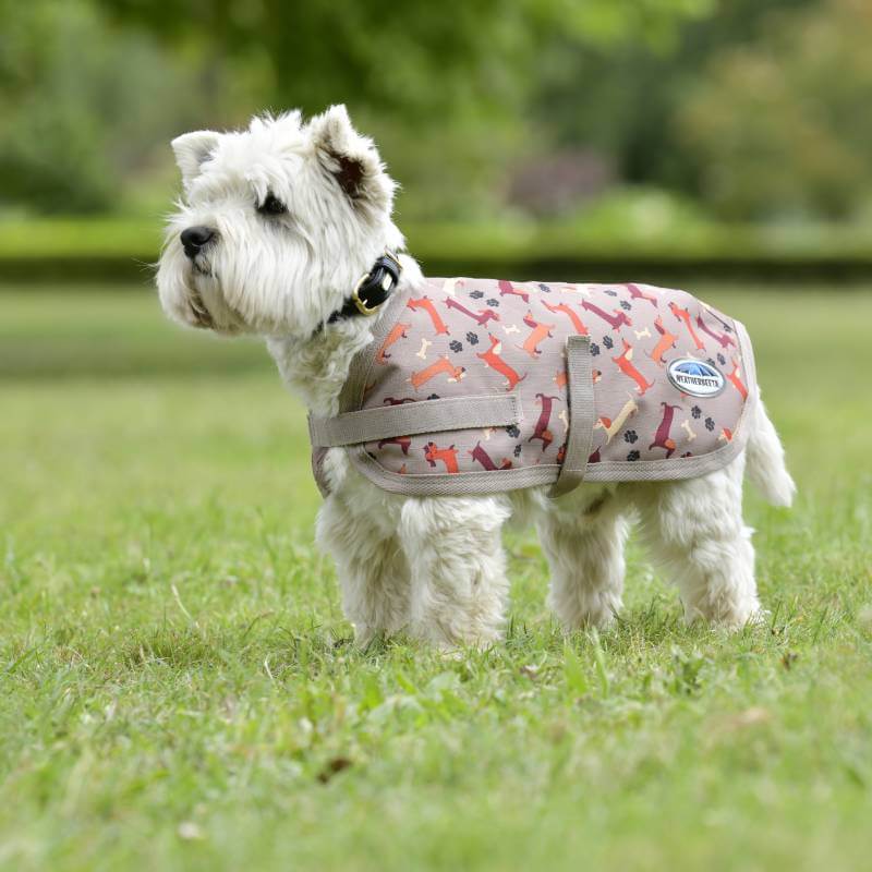 Weatherbeeta Comfitec Essential Dog Coat Dachshund Print