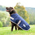 Weatherbeeta Comfitec Essential Dog Coat Navy/Silver/Red