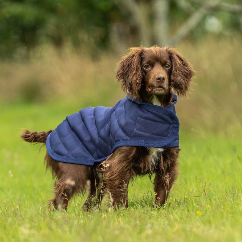 Weatherbeeta Comfitec Deluxe Diamond Quilt Dog Coat Navy-Pet n Pony-Weatherbeeta