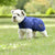 Weatherbeeta Comfitec Deluxe Diamond Quilt Dog Coat Navy