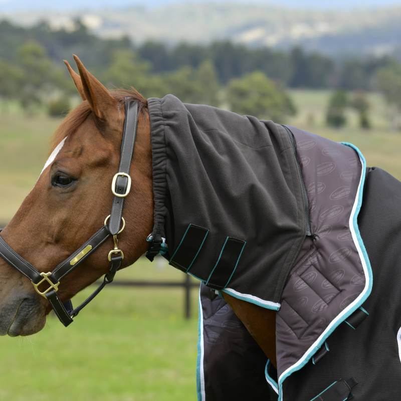 Brown horse in a Weatherbeeta Comfitec Ultra Comfi Detach-A-Neck blanket in a grassy field.