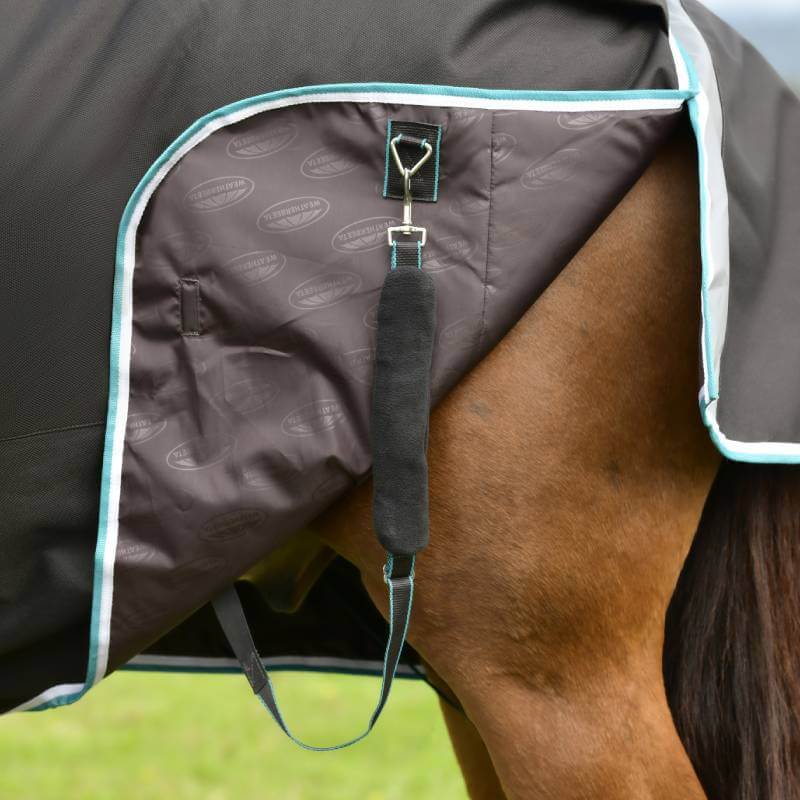 Close-up of a horse in a Weatherbeeta Comfitec Ultra Comfi Detach-A-Neck blanket, teal trim.