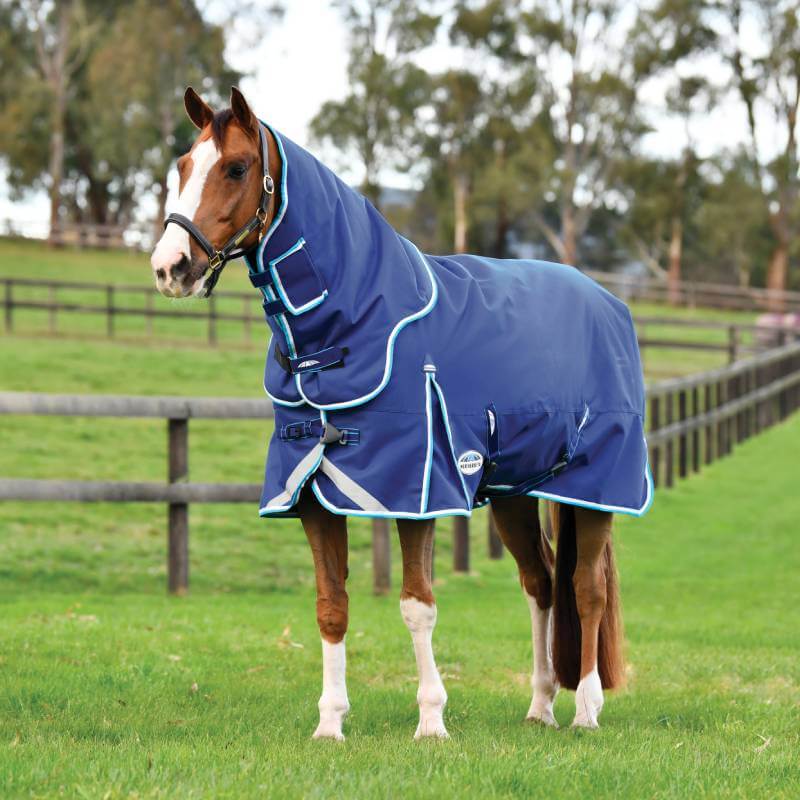 A horse in a Weatherbeeta Comfitec Ultra Hardi Detach-A-Neck rug stands on grass by fences.