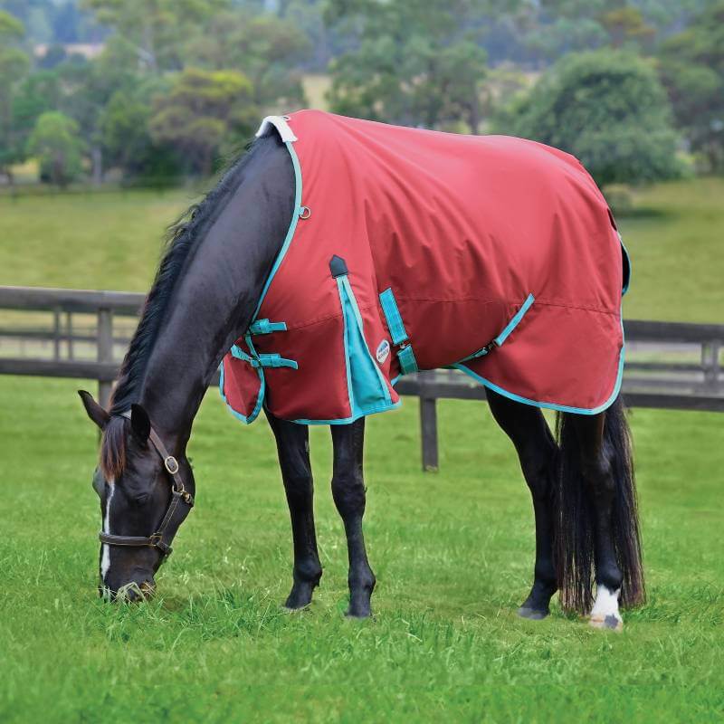 A black horse wears a Weatherbeeta Comfitec Essential Lite Plus red/blue/beige blanket on grass.