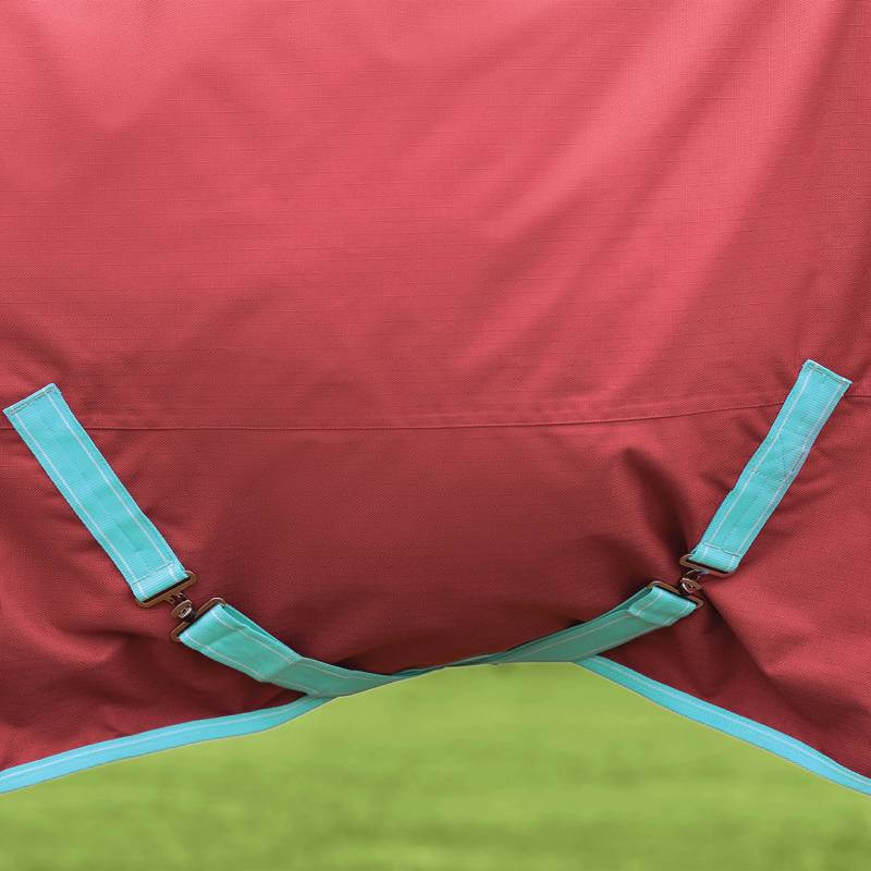 Close-up of Weatherbeeta Comfitec Essential Standard Neck Lite Plus in Red/Blue/Beige.