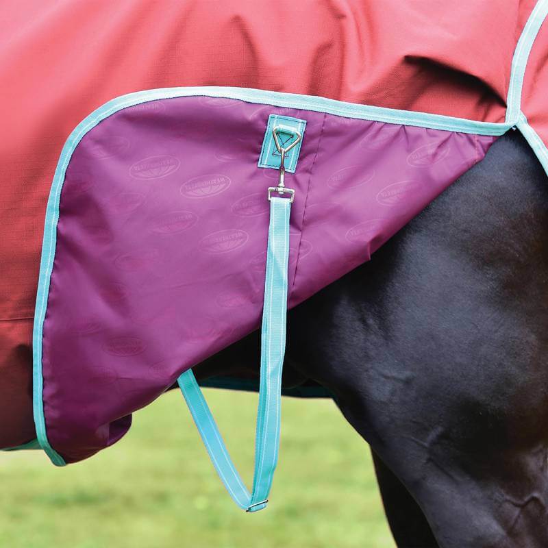 Close-up of a horse in a Weatherbeeta ComFiTec Essential Lite Plus red/blue/beige blanket.