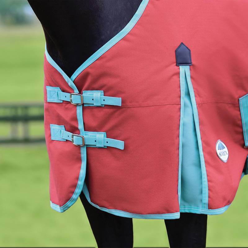 Close-up of a horse in a Weatherbeeta ComFiTec Essential Standard Neck Lite Plus Red/Blue/Beige.