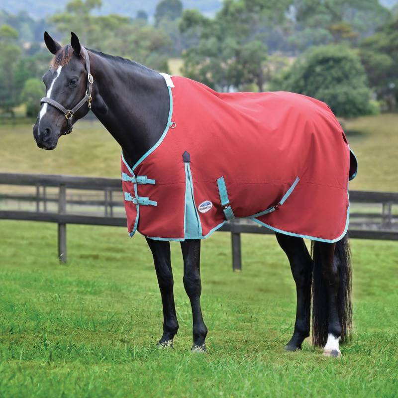 A black horse wears a Weatherbeeta Comfitec Essential Lite Plus red/blue/beige blanket on grass.
