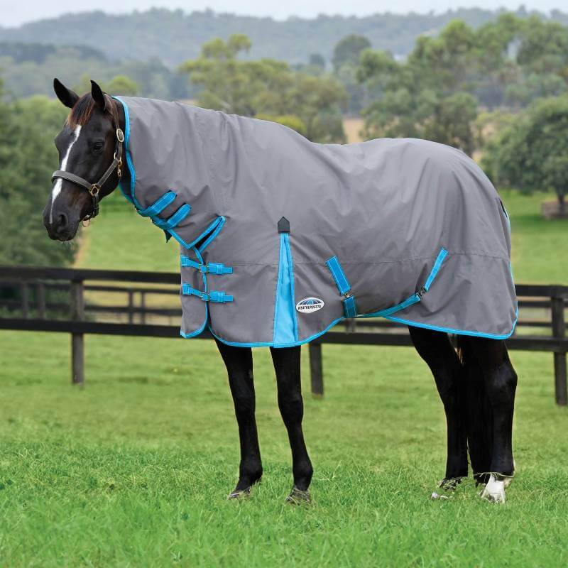A horse wears a Weatherbeeta ComFiTec Classic Combo Neck Lite Plus in a grassy field.