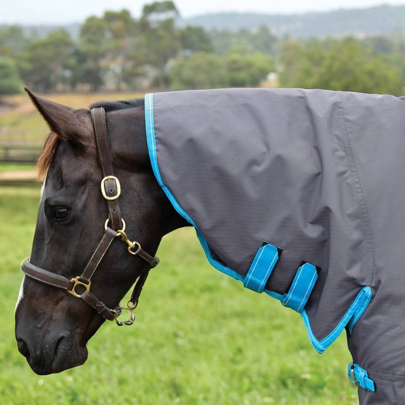 A horse in a field wears a Weatherbeeta Comfitec Classic Combo Neck Lite Plus turnout blanket.