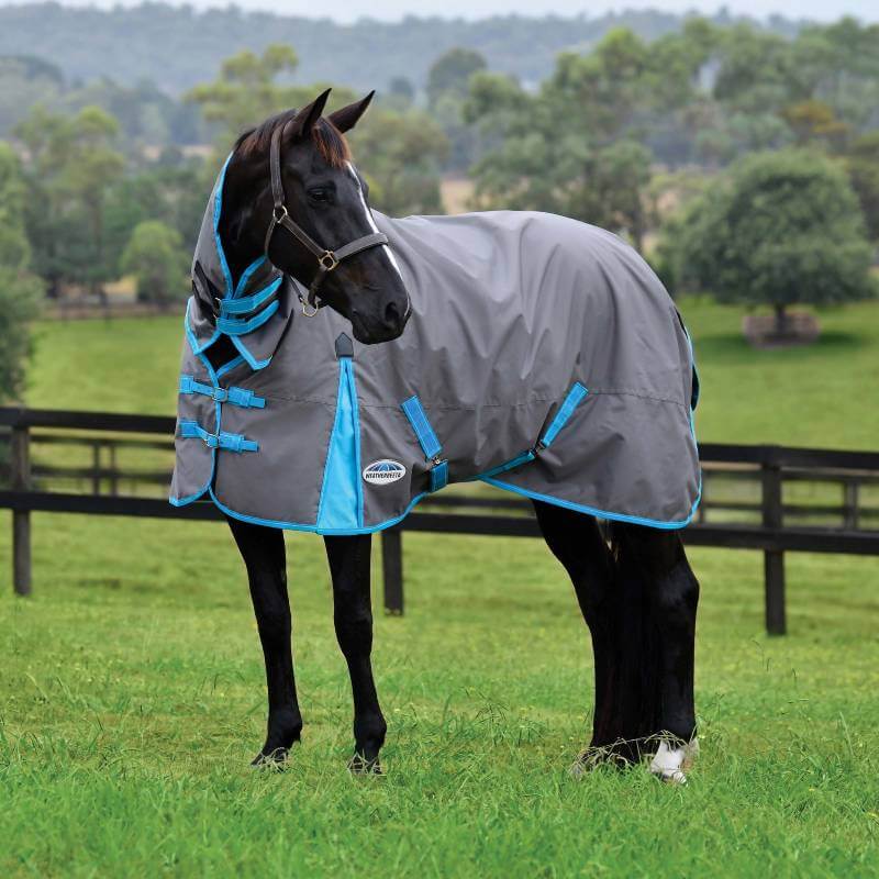 Black horse in Weatherbeeta Comfitec Classic Combo Neck Lite Plus grazes by a fence.