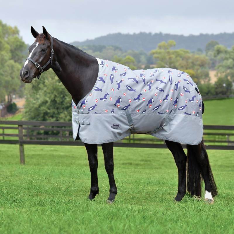 A horse in a Weatherbeeta Comfitec Tyro Lite Plus Seal Print rug stands in a field.