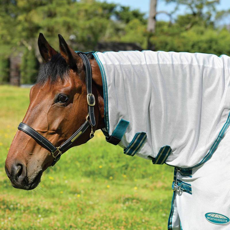 A brown horse in a Weatherbeeta Zephyr Plus Mesh Combo Neck Silver/Teal Green/Stone rug on grass.