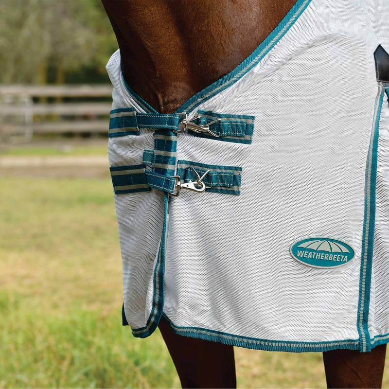 Close-up of a horse in a Weatherbeeta Comfitec Zephyr Plus Mesh Combo Neck fly rug.
