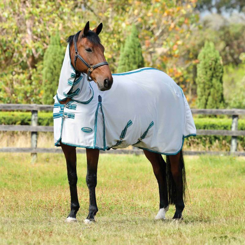 Brown horse wears Weatherbeeta Comfitec Zephyr Plus Mesh Combo Neck in Silver/Teal Green/Stone.