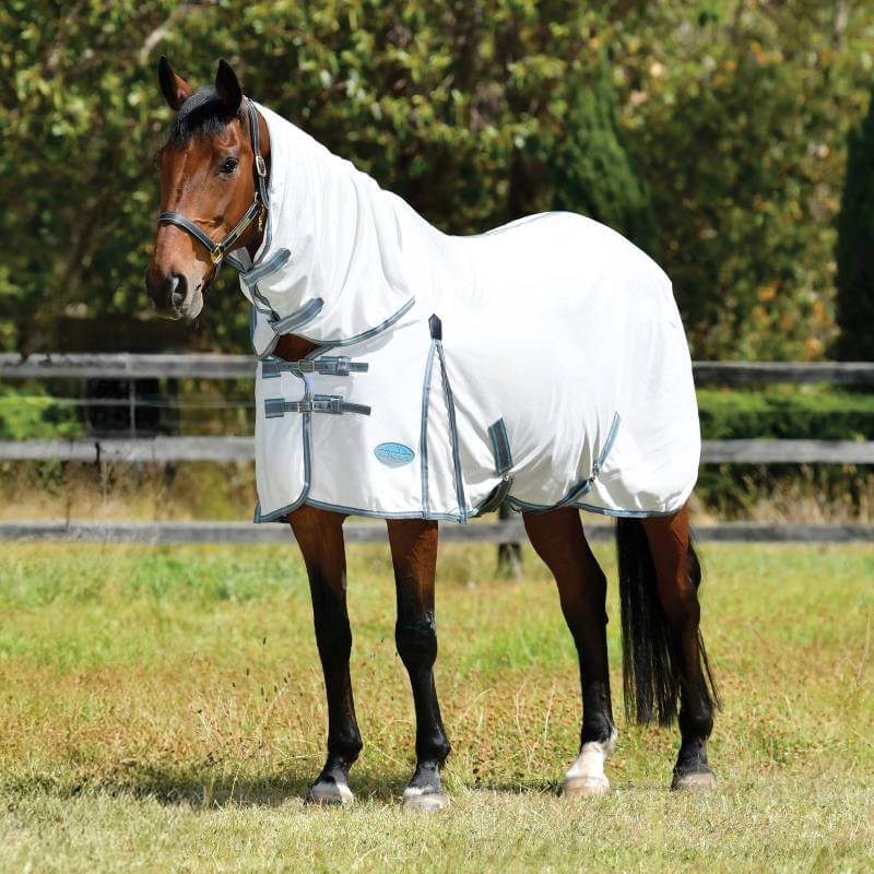 A brown horse in a Weatherbeeta mesh blanket stands on grass in a fenced outdoor area.