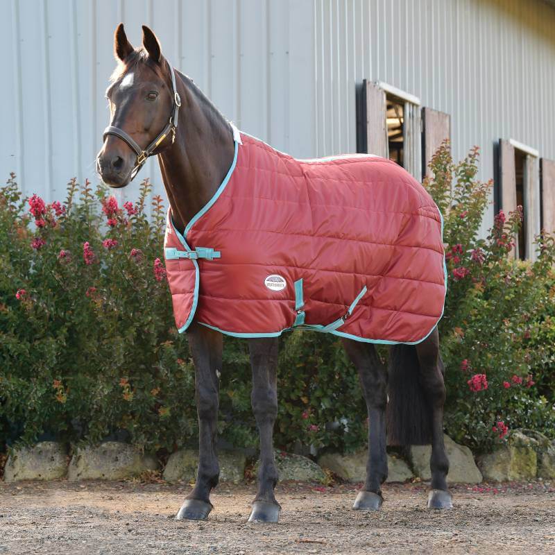 Weatherbeeta Comfitec 210D Channel Quilt Standard Neck Medium/Lite Red/Blue/Beige-Pet n Pony-Weatherbeeta