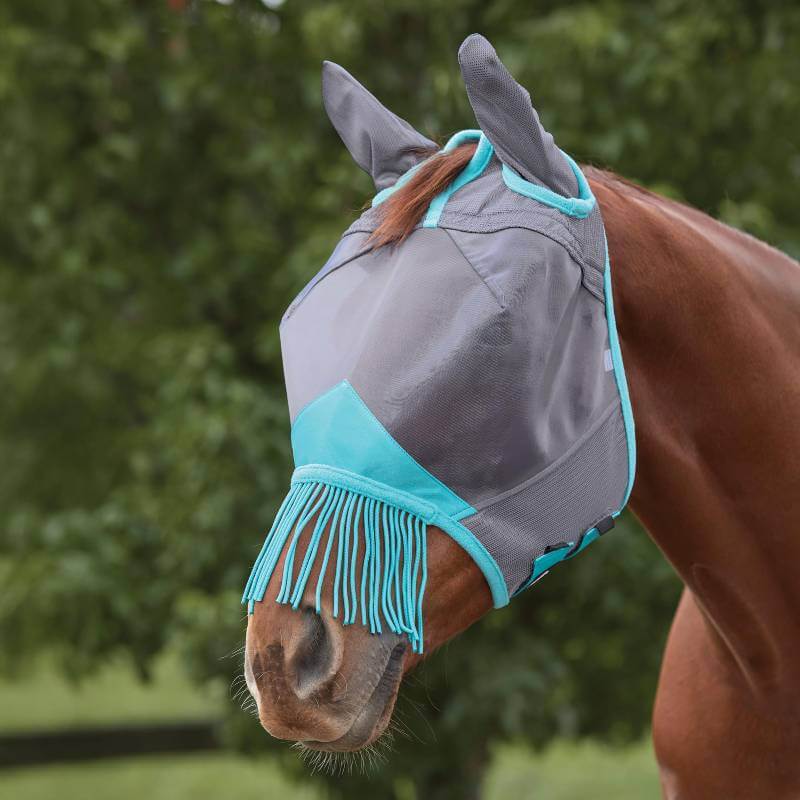 A horse wears a Weatherbeeta grey/turquoise mesh mask with ears and tassels for UV protection.