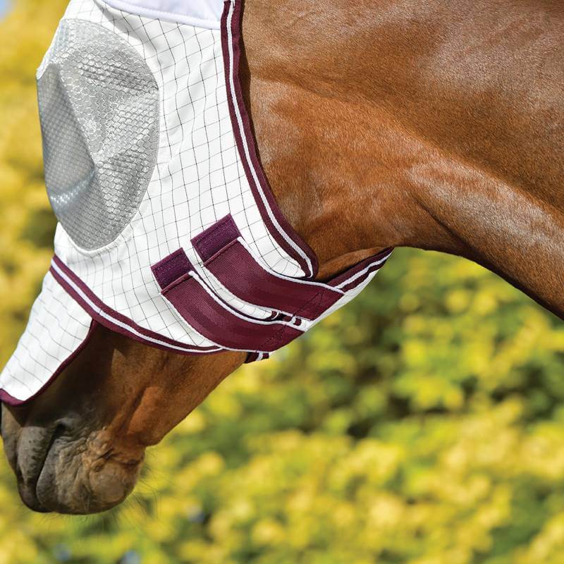 Chestnut horse in a Weatherbeeta Hybrid Seasons Fly Mask White/Maroon for outdoor UV protection.