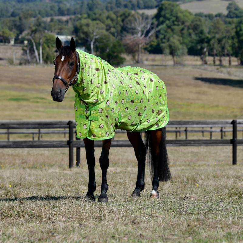 Brown horse in a Saxon Mesh Combo Neck Hedgehogs & Flowers Print fly sheet, in a paddock.