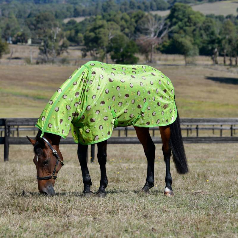 A horse in a Saxon Mesh Combo Neck Hedgehogs & Flowers Print grazes in the field.