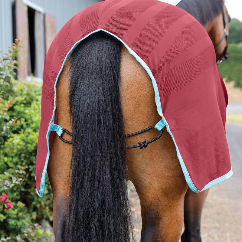 A horse in a Weatherbeeta Scrim Cooler Standard Neck Red/Blue/Beige, seen from behind.