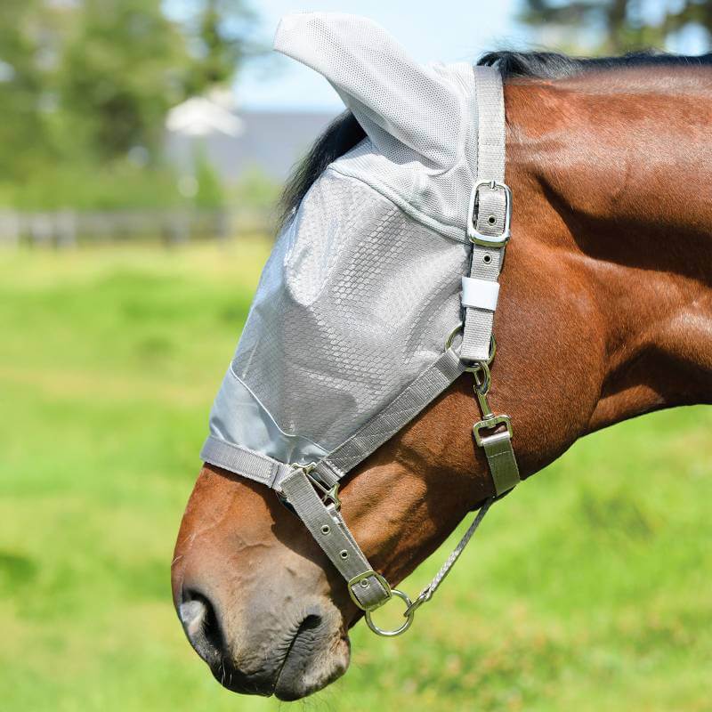 A horse wears a Weatherbeeta ComFiTec Hexi Shield Fly Mask with Headcollar in a grassy field.