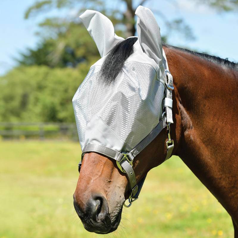 Brown horse wearing a WeatherBeeta ComFiTec Hexi Shield Dual Fly Mask with UV protection on grass.