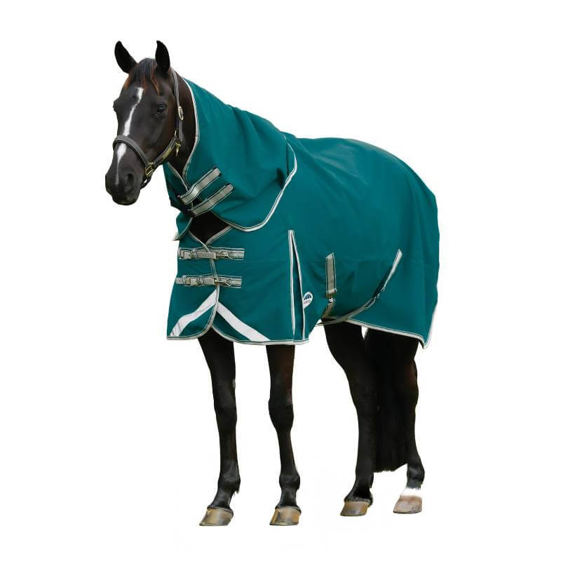 Black horse in a teal green Weatherbeeta Comfitec Plus Dynamic II Detach-A-Neck turnout rug.
