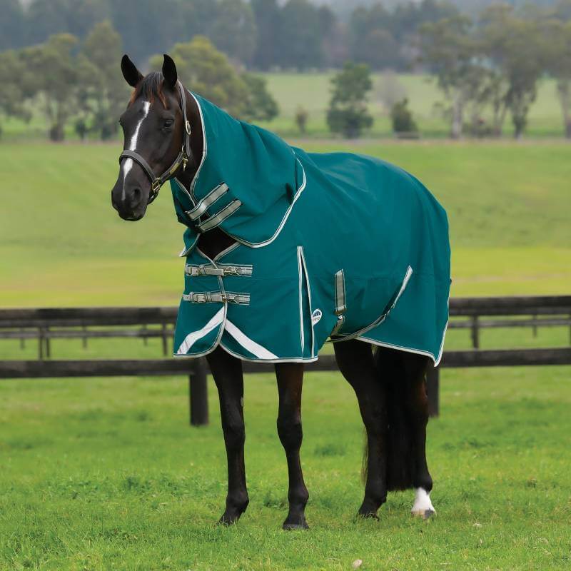 A horse in a Weatherbeeta Comfitec Plus Dynamic II Lite rug stands in a grassy field.