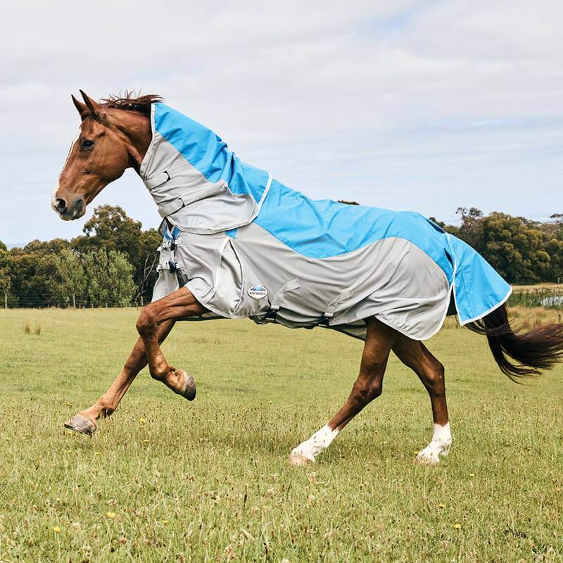 A horse trotting in a field wearing a Weatherbeeta Comfitec Dual Shield Blue/Grey fly rug.