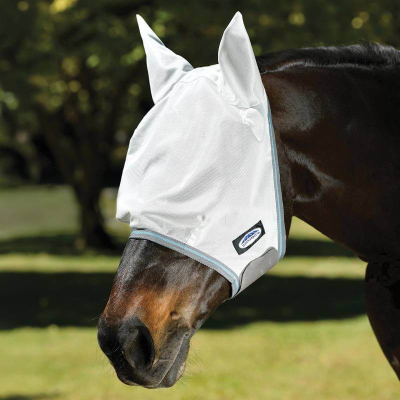 Horse in a Weatherbeeta Comfitec Essential Mesh Mask White/Grey/Bright Blue outdoors.