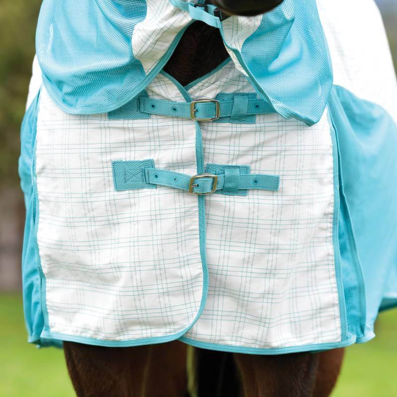 Close-up of a horse in a Weatherbeeta Kool Coat Cotton Airstream II Detach-A-Neck sheet.
