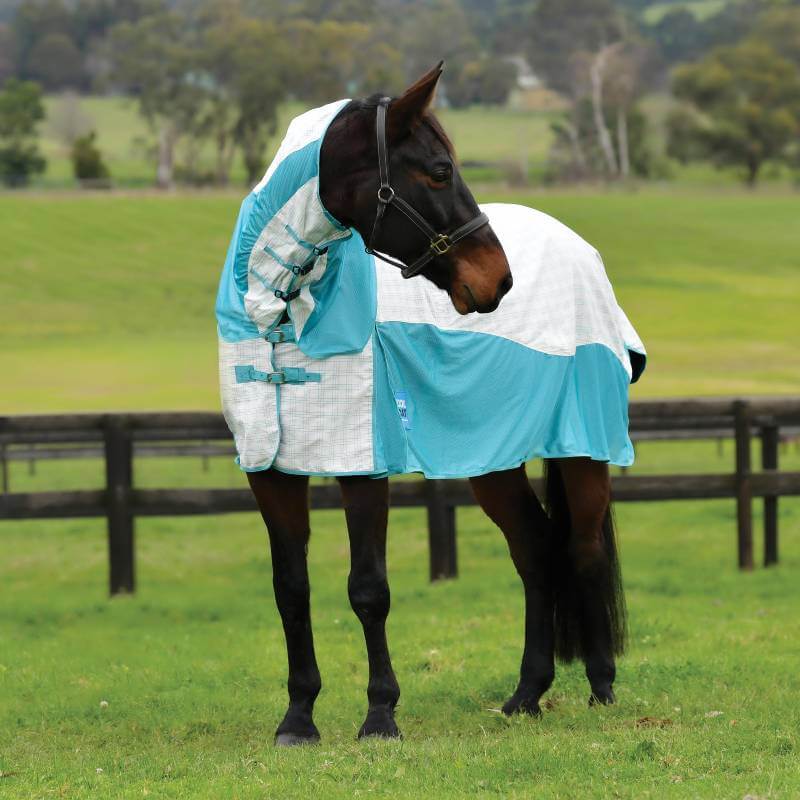 A horse in a Weatherbeeta Kool Coat Cotton Airstream II Detach-A-Neck grazes by a fence.