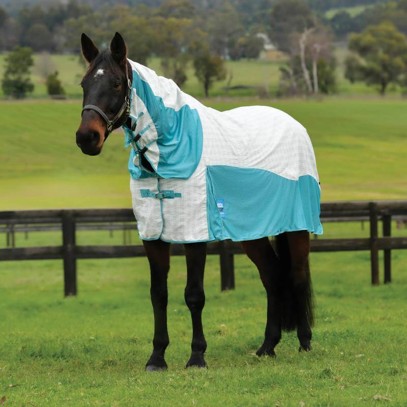 A horse in a Weatherbeeta Kool Coat Cotton Airstream II Detach-A-Neck stands on grass outside.